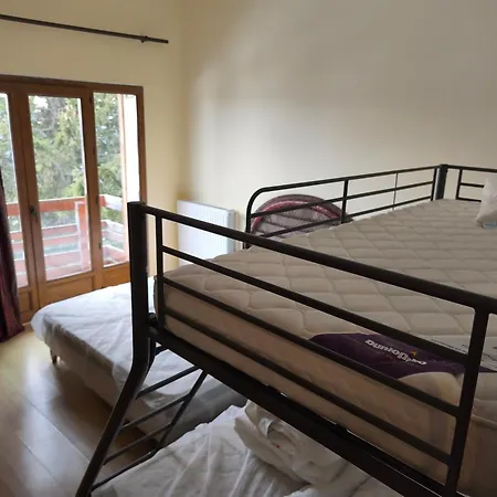 Exceptional Chalet Chamrousse